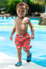 Load image into Gallery viewer, Dinosaur Water Shoes
